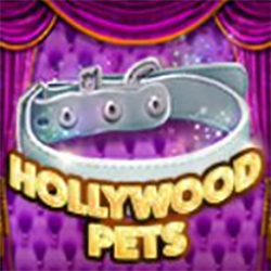 Thú Cưng Ở Hollywood CFUN68