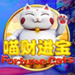 Miao Cai Jinbao CFUN68