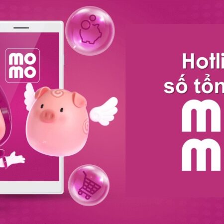 Số tổng đài momo- Kênh giải đáp chăm sóc khách hàng 24/7