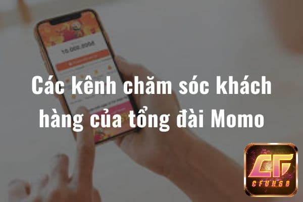 số tổng đài momo