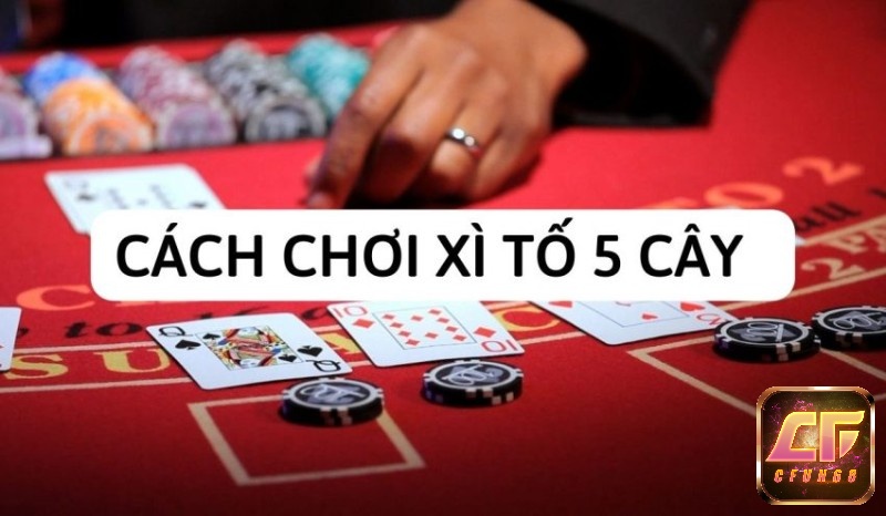 cách chơi xì to 5 cây bịp