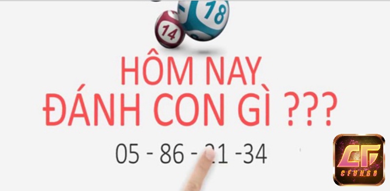 Hom nay danh con gi là câu hỏi của nhiều người chơi