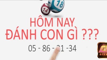 Hom nay danh con gi – Dự đoán lô đề hiệu quả nhất 2022