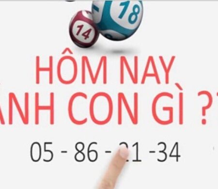 Hom nay danh con gi – Dự đoán lô đề hiệu quả nhất 2022