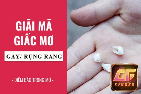 Cùng Cfun68 tìm hiểu về điềm báo ý nghĩa của giấc mơ