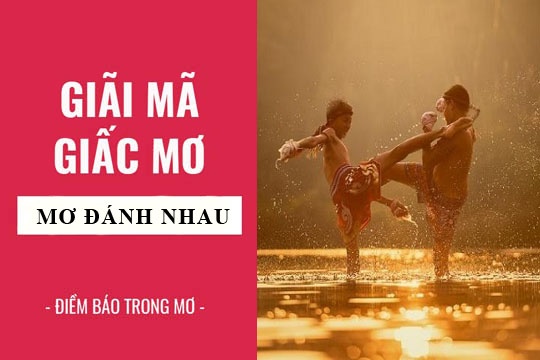 Giải mã giấc mơ thấy đánh nhau đánh con gì, điềm lành hay dữ