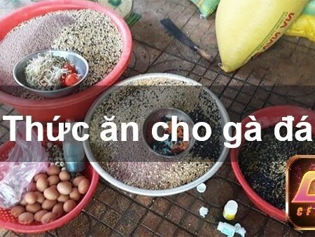 Các loại mồi cho gà đá là gì? Hướng dẫn cách chăm sóc